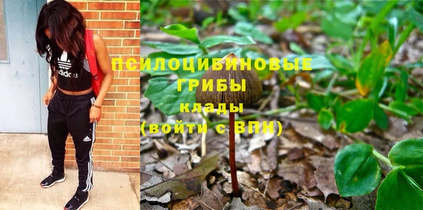 прущие грибы Верхний Тагил