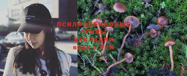 дмт Ступино