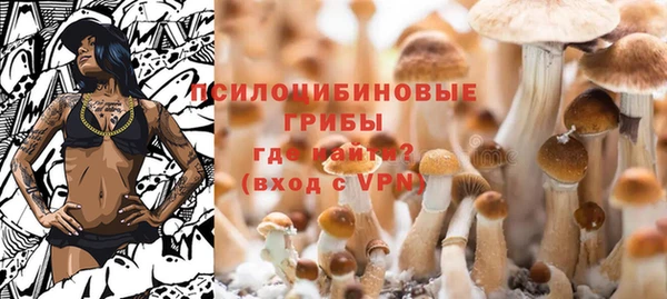 молекула духа Горнозаводск
