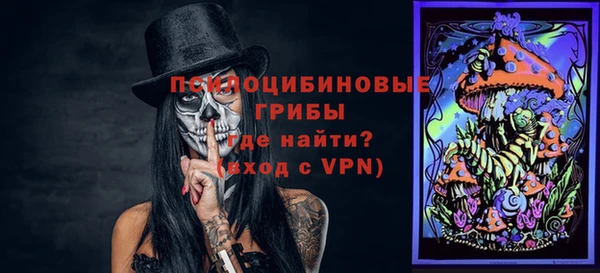 молекула духа Горнозаводск
