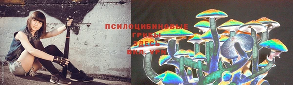 стафф Горняк