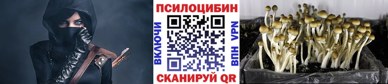 Псилоцибиновые грибы мухоморы Донецк