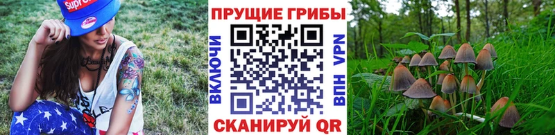 гидра   Донецк  Галлюциногенные грибы ЛСД  наркотики 